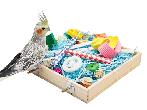 Dnoifne Vogelfutter-Spielzeugbox, Papageien-Zerkleinerungsspielzeugbox, Vogelkauspielzeug, Vogelkäfig-Zubehör, geeignet für kleine Vögel, Sittiche, Nymphensittiche, Liebesvögel von Dnoifne