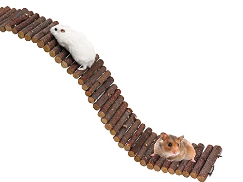 Hamster Leiter Brücke Spielzeug, Hölzerner Hamster Kletterspielzeug, Biegbare Ratte Leiter Spielzeug, Kleintierkäfig Zubehör, Geeignet Für Hamster Meerschweinchen Ratten Vögel Papageien 60 × 8 CM von Dnoifne