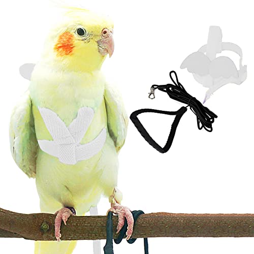 Haustier Papagei Vogel Geschirr und Leine, Verstellbares Trainingsdesign Anti-Beiß, Vogel Nylon Seil mit süßem Flügel für Papageien, Geeignet für Alexandrin, Keck, Mini Ara Gleiche Größe Vögel (Weiß) von Dnoifne