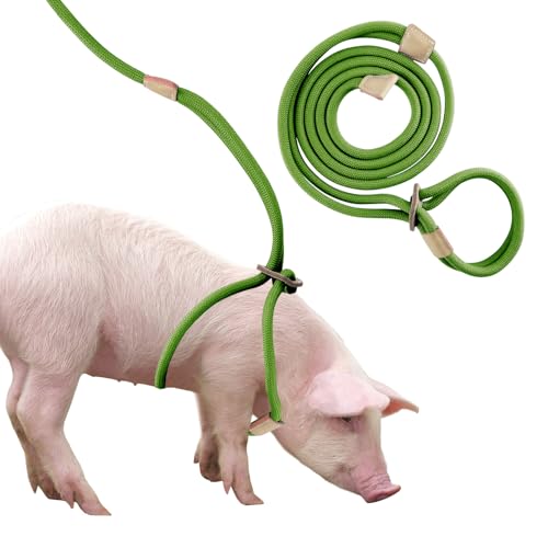 Mini Pig Harness & Leash, Mini-Schweine-Geschirr und Leine, verstellbares 2,4 m langes Seil für kleine bis mittelgroße Haustierschweine von Dnoifne