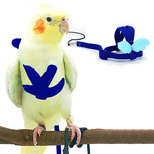 Nymphensittiche Papagei Vogel Geschirr und Leine, verstellbares Trainingsdesign Anti-Biss, Vogel Nylonseil mit niedlichem Flügel für Nymphensittiche und Vögel gleicher Größe (L, Blau) von Dnoifne