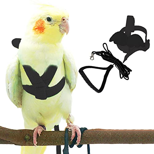Nymphensittiche Papagei Vogel Geschirr und Leine, verstellbares Trainingsdesign Anti-Biss, Vogel Nylonseil mit niedlichem Flügel für Nymphensittiche und Vögel gleicher Größe (L, Schwarz) von Dnoifne