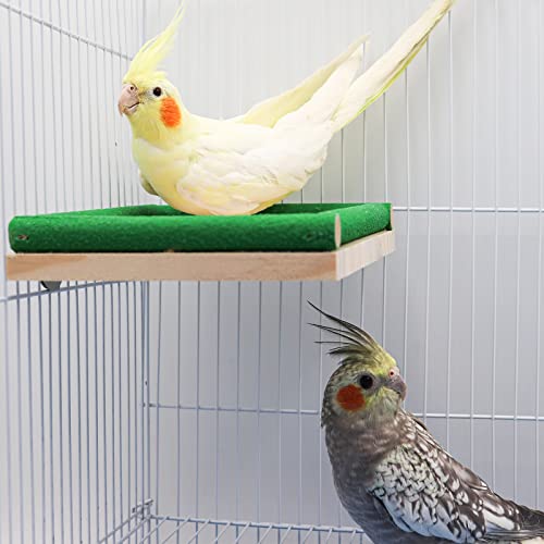 Vogel-Sitzstange aus Holz, Vogelfutterstation, natürliches Holz-Vogelkäfig-Zubehör, Pfotenschleifen, stehende Sitzstange mit rauer Quarzsand-Oberfläche für Papageien, Nymphensittiche, Ratten (grün) von Dnoifne