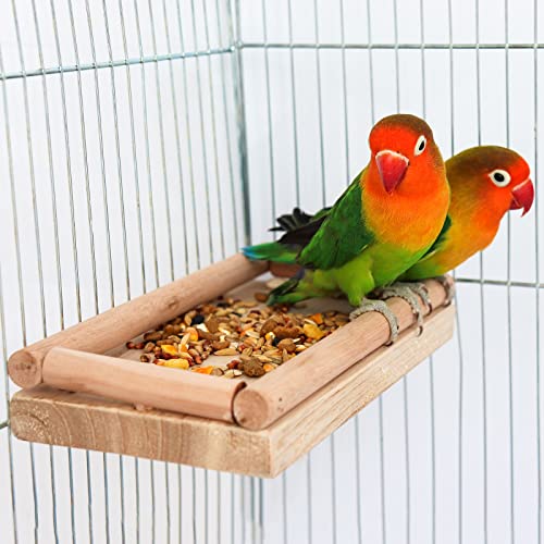 Vogel-Ständer aus natürlichem Holz, Vogelkäfig-Ständer, Stangenzubehör, Pfoten Schleifen Stehen Kletterstange für Papageien, Sittiche, Wellensittiche, Lovebirds (Größe A) von Dnoifne