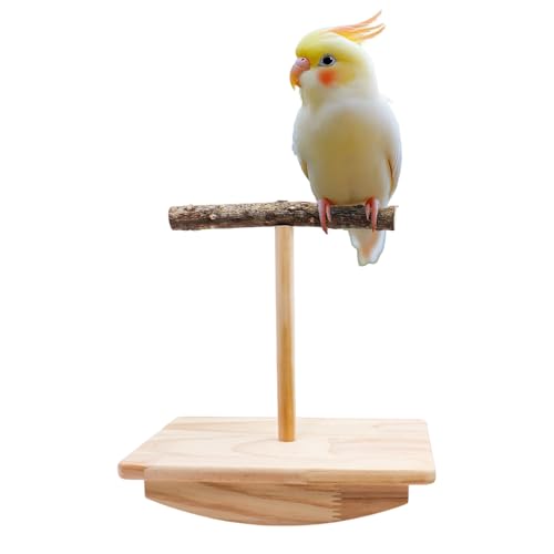 Vogelstange Schaukelspielzeug, Naturholz Papagei Tumbler Spielzeug, Vogelstange Ständer & Kauspielzeug, Sittich Pfote Schleifstab, Käfigzubehör für kleine Vögel Sittiche Nymphensittiche Wellensittiche von Dnoifne