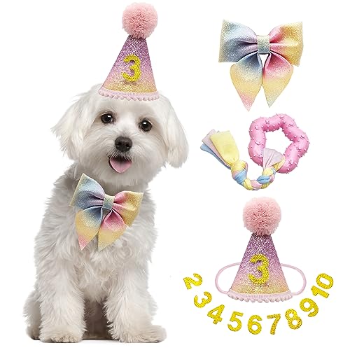 DoDottii Hund Geburtstag Set Niedlicher Hut und Fliege Gummispielzeug für Geburtstag Party Supplies Geschenk, Hund Geburtstag Hut Kostüm für Katzen Kleine Hunde Rosa Regenbogen Outfit für von Do-Dottii