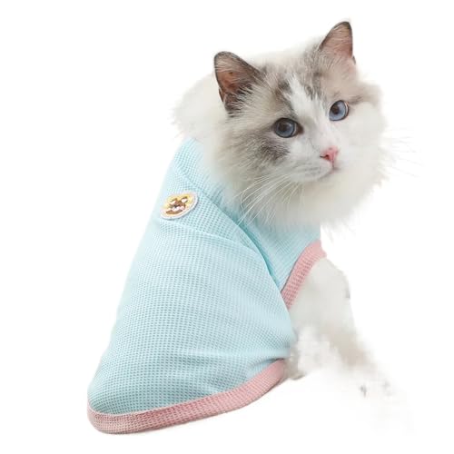 Dünne Sommer-Katzenpuppe, Katzenkleidung, atmungsaktiv, Teddy, Bichon, Hundekleidung (Blau, XL) von DoRysk