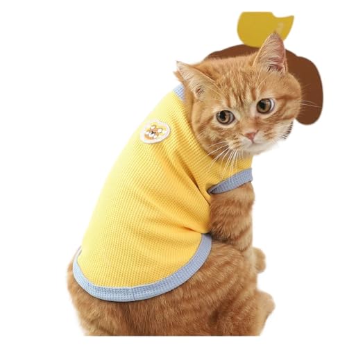 Dünne Sommer-Katzenpuppe, Katzenkleidung, atmungsaktiv, Teddy, Bichon, Hundekleidung (Gelb, M) von DoRysk