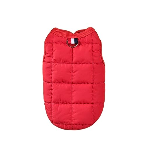 Warme Winter-Hundejacke, winddicht, passend für kleine Hunde, gepolsterte Kleidung, Chihuahua-Kleidung, Haustierbedarf (Rot, XL) von DoRysk