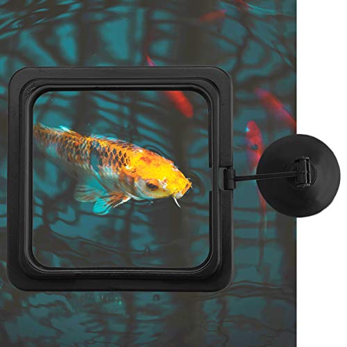 Doact Fisch-Futterring, Sicherer Schwimmender Futterspender für Aquarienfische, Betta-Fischspielzeug, Fischurlaubs-Futterspender mit Saugnapf für Guppys, Bettas, Goldfische und Andere von Doact