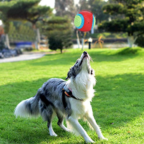 Doact Hundebälle, Interaktives Hundespielzeug, Bälle für Hunde, Haustierhunde, Elastischer Gummiball, Kauen, Zähneknirschen, Sicheres Training, Interaktives Spielzeug für Kleine, von Doact