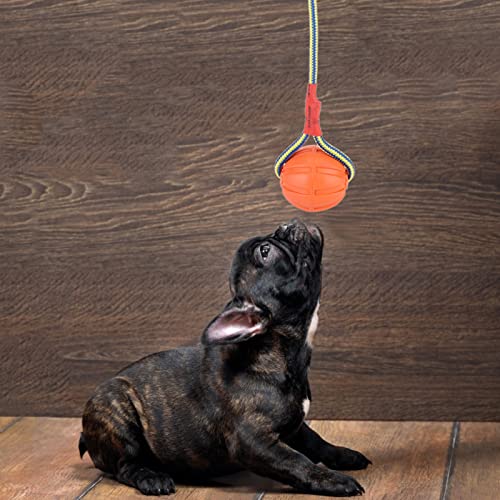 Doggie Disc Ball für Kleine Hunde, Ball Am Seil, Hundespielzeug, Seilball, Hundespielzeug, Übungs- und Belohnungswerkzeug, Seil und Ball, Hundespielzeug für Hundetraining, von Doact