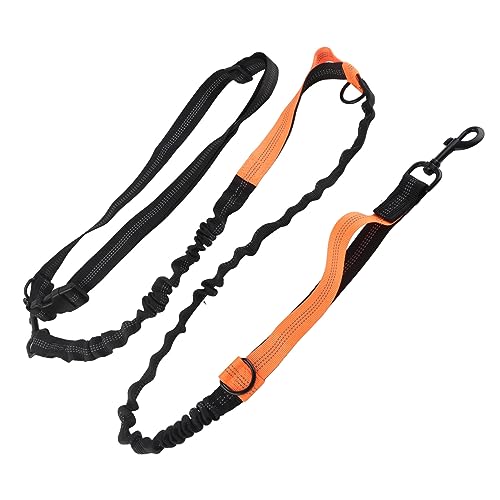 Elastisches Hundeleinenseil, Nylon-Sicherheits-Hochleistungs-Bungee-Hundeleine Zum Spazierengehen (ORANGE) von Doact