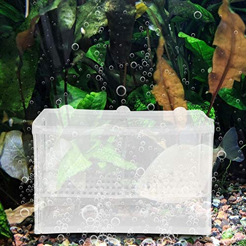 Zuchtbox für Aquarien, Baby-Aquarium-Zuchtbox für Aquarien, Fisch-Inkubator, Netzbox, Fischtrennnetz, Fischbrutplatz mit Saugnäpfen für Aquarium-Zubehör von Doact