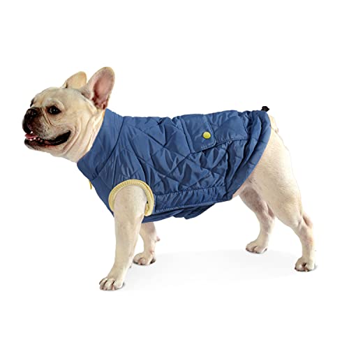 Dociote Hund Wintermantel Winterjacke mit Krageloch, Tasche, Baumwolle Gepolstert Hundemantel Weste für kleine Hunde L Dunkelblau von Dociote