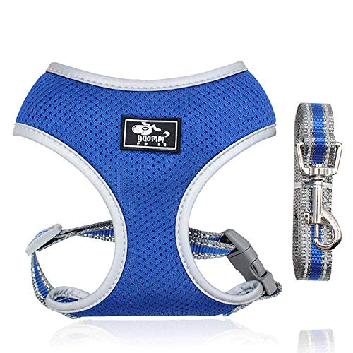 Dociote Hundegeschirr Set mit Leine - Brustgeschirr Welpengeschirr Set mit Leine & Reflektorstreifen verstellbares Geschirr für Welpen kleine Hunde Katzen Blau M von Dociote