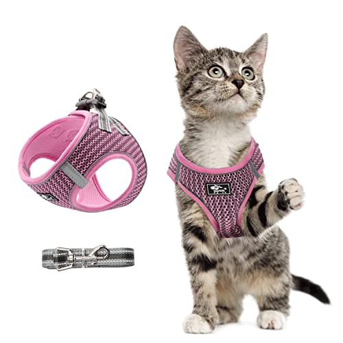 Hundegeschirr Set mit Leine für kleine Hunde - Brustgeschirr ausbruchsicheres Katzengeschirr Welpengeschirr Step-In Geschirr für kleine Hunde, Welpen, Katzen S Rosa von Dociote