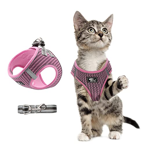 Hundegeschirr Set mit Leine für kleine Hunde - Brustgeschirr ausbruchsicheres Katzengeschirr Welpengeschirr Step-In Geschirr für kleine Hunde, Welpen, Katzen XS Rosa von Dociote