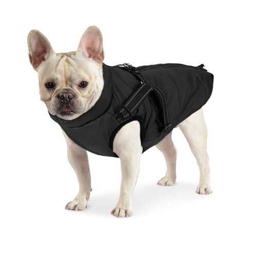 Dociote Hundemantel Hundejacke mit Geschirr & Reißverschluss gefütterter & wasserdichter Wintermantel Winterjacke für Winter für kleine mittelgroße Hunde Schwarz 2XL von Dociote