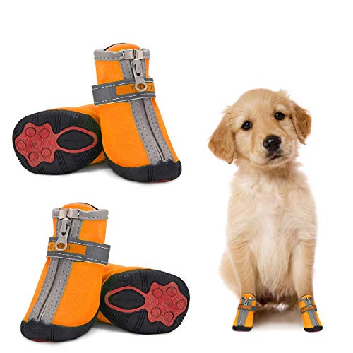 Dociote Hundeschuhe pfotenschutz mit Anti-Rutsch Sohle, reflektierendem Riemen, Klettverschluss, Reißverschluss wasserdicht Schneeschuhe für kleine Hunde 4 Stück Orange 3# von Dociote