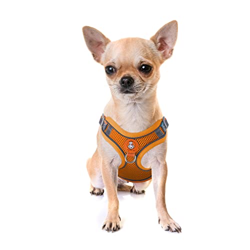 Dociote Katzengeschirr Set mit Leine ausbruchsicher - Antizug Geschirr mit Brustring Mesh Hundegeschirr Brustgeschirr für Katzen & kleine Hunde Orange XS von Dociote