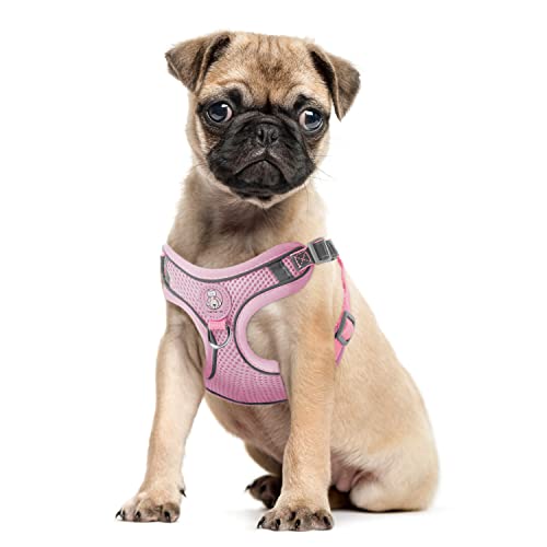 Dociote Katzengeschirr Set mit Leine ausbruchsicher - Antizug Geschirr mit Brustring Mesh Hundegeschirr Brustgeschirr für Katzen & kleine Hunde Pink S von Dociote