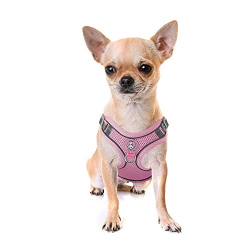 Dociote Katzengeschirr Set mit Leine ausbruchsicher - Antizug Geschirr mit Brustring Mesh Hundegeschirr Sicherheitsgeschirr für Katzen & kleine Hunde Pink XS von Dociote