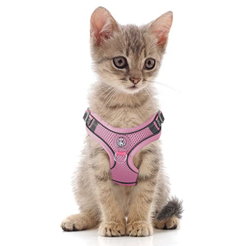 Dociote Katzengeschirr Welpengeschirr Set mit Leine ausbruchsicher - Antizug Geschirr mit Brustring Mesh Hundegeschirr Brustgeschirr für Katzen & kleine Hunde Pink 2XS von Dociote