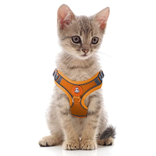 Welpengeschirr Katzengeschirr Set mit Leine ausbruchsicher - Antizug Geschirr mit Brustring Mesh Hundegeschirr Brustgeschirr für Katzen & kleine Hunde Orange 2XS von Dociote