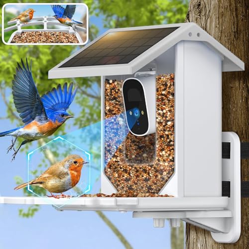 Intelligenter Vogelfutterspender mit Kamera, Vogelbeobachtungskamera mit solarbetrieben, 1080P HD automatische Aufnahme von Vogelvideos, Vogelfutterstation, kabellose Outdoor-KI, Identifizierung von von Docreate