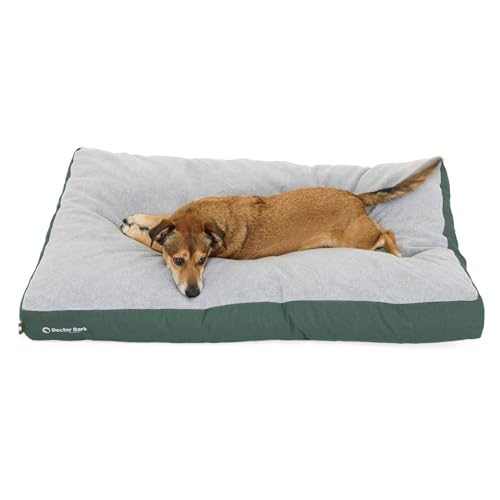 Doctor Bark Hundekissen Mittelgroße Hunde Waschbar - Hundebett Weich Flauschig - Strapazierfähiges Kuscheliges Liegekissen - GreenLabel (M - 88x60 cm, Grün) von Doctor Bark