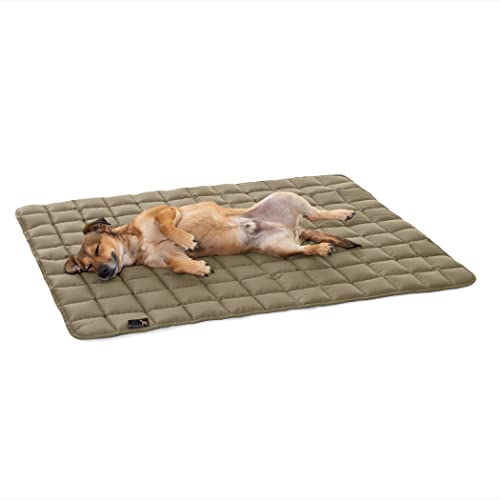 Pointer | Hundedecke 80 x 60 cm, Gepolstert & Strapazierfähig - Hundematte Waschbar bis 95°C, Liegedecke für Boden oder Sofaschutz - Outdoor geeignet (M - 80x60 cm, Goldbraun) von Pointer