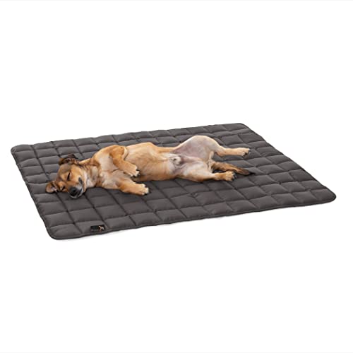 Doctor Bark Pointer | Hundedecke, gepolsterte Liegedecke, Hundematte waschbar (XL - 130x110 cm, Grau) von Pointer