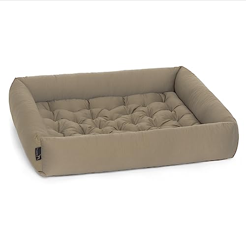 Pointer | Hundebett Mittelgroße Hunde - Orthopädisches Hundebett mit Herausnehmbarer Matratze, Waschbar bis 95°C, Trocknergeeignet, Kratzfest & Bissfest, Made in Germany (XL - 90x80 cm, Goldbraun) von Pointer