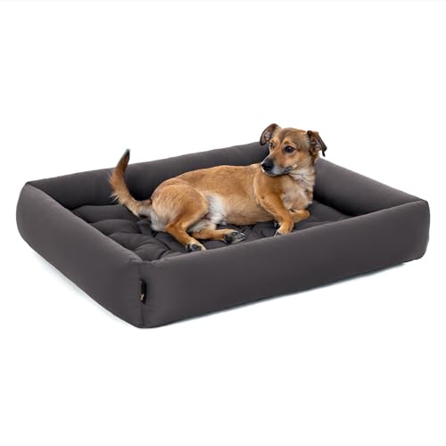 Pointer | Hundebett Große Hunde - Orthopädisches Hundebett mit Herausnehmbarer Matratze, Waschbar bis 95°C, Trocknergeeignet, Kratzfest & Bissfest, Made in Germany (XXL - 100x90 cm, Anthrazit) von Pointer