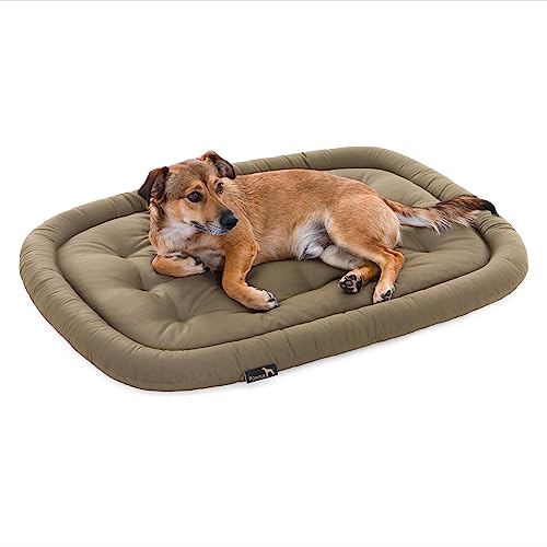 Pointer | Hundekissen waschbar, orthopädisches Hundebett für große Hunde (XL - 105x80 cm, Beige) von Doctor Bark