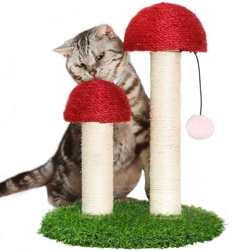 Kratzbaum Pilz Katzenkratzbaum Natur Langlebig Sisal Kratzbaum Pilz Scrather mit Sisalkappen Kratzstange und interaktivem Spielzeugball Pilz Katzenbaum für Kätzchen und kleine Katzen von Dodifker