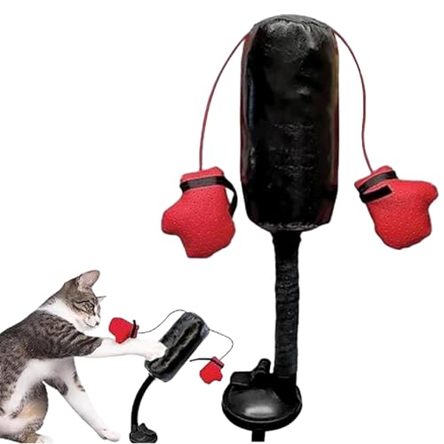 Doduiu Katze Boxsack Spielzeug, Katze Boxspielzeug Boxsack mit Handschuhen Katzenspielzeug, Interaktives Kätzchenspielzeug Boxsack, Mini Boxen Punching Cat Bag Spielzeug, Boxsack Spielen Gym für Kitty von Doduiu