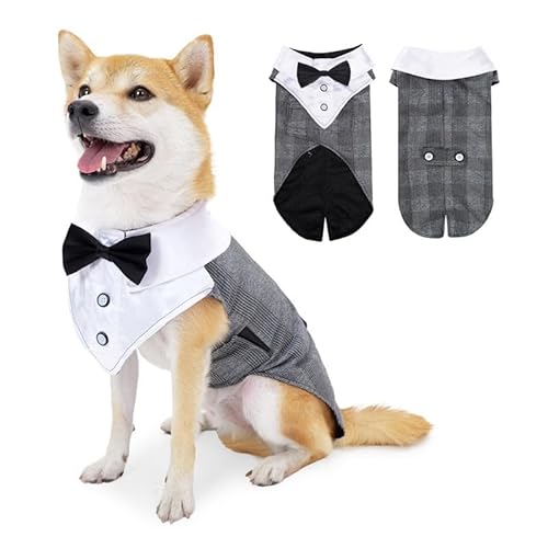 DOFYOU Hunde-Smoking, Hochzeits-Partyanzug, Hundeprinz, Hochzeitsfliege, Hemd, formelle Hundehochzeit, vollständig gefüttert, Katzensmoking für formelle Anlässe (XL, Grau) von Dofyou