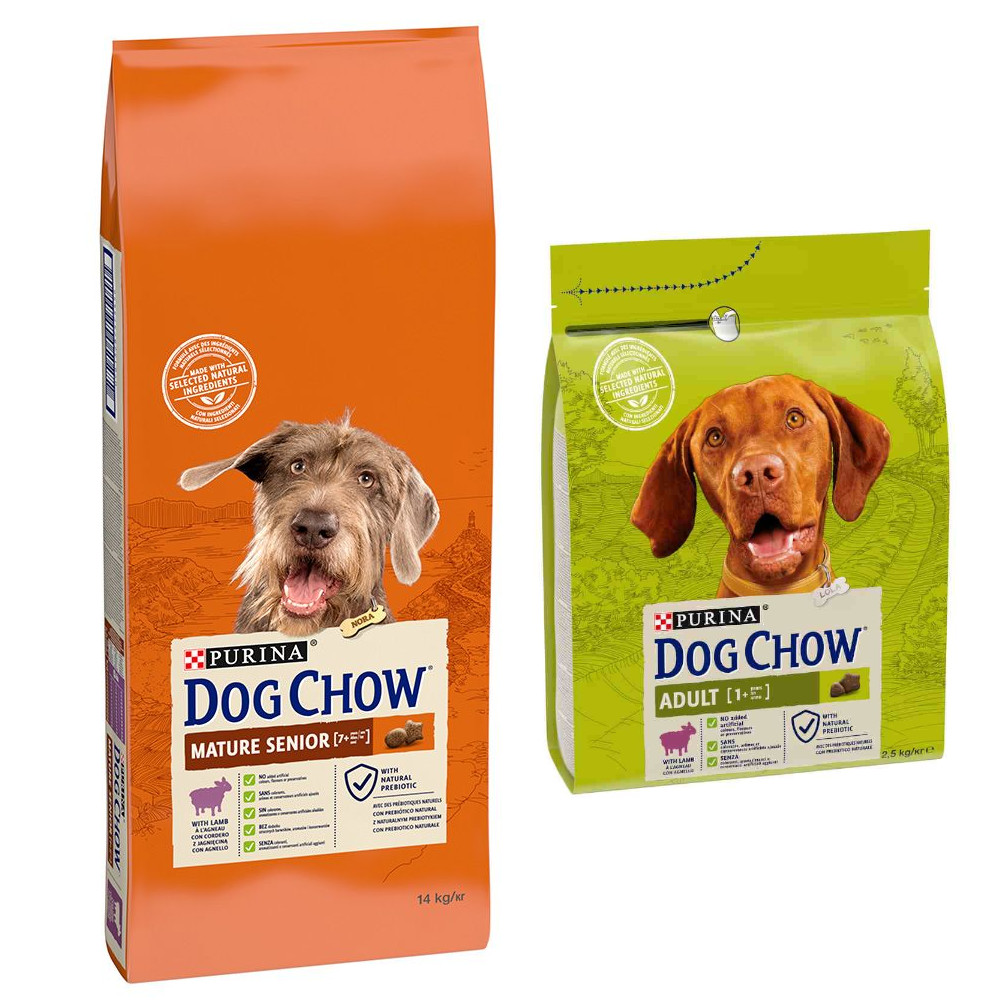 14 kg PURINA Dog Chow + 2,5 Adult Lamm Trockenfutter gratis! - Senior Lamm 14 kg PURINA Dog Chow + 2,5 Adult Lamm Trockenfutter gratis! - Senior Lamm von Dog Chow