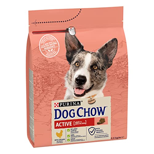 Purina Dog Chow Active, Trockenfutter Hund mit Huhn 2,5 kg von Dog Chow