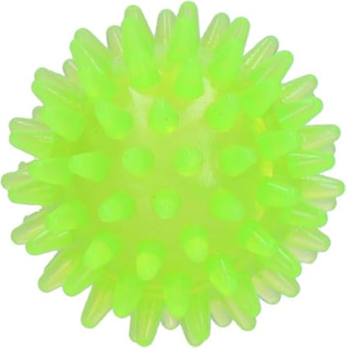 Dog Comets Exoplanet - 5 cm - Hundespielzeug - Hundeball - Apportierspielzeug - Igelball - Wasser und Land - Zahnen - Interaktives Hundespielzeug - Mit Piepton - Grün - S von Dog Comets