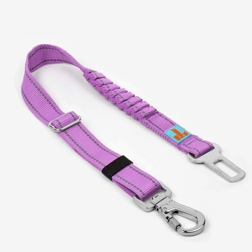 DF Co. Sicherheitsgurt für Hunde, sicherer und bequemer Hundetransport, verstellbare Länge, Anti-Schock-Bungee, universelle robuste Clips, Violett von Dog Friendly Co