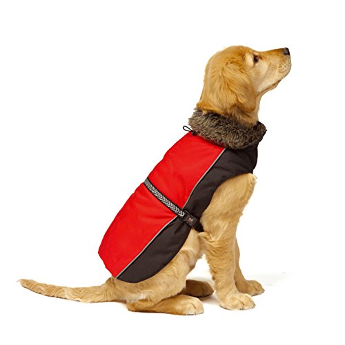 Dog Gone Smart Hundejacke Aspen rot-schwarz Größe: 65 cm von Dog Gone Smart