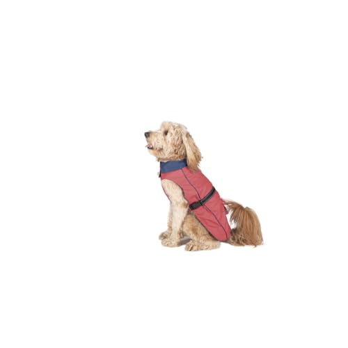 Regenjacke für Hunde, Dog Gone Smart Coral, 35 cm, Marke: Dog Gone Smart - EAN: 0849670023540 Regenjacke für Hunde, Dog Gone Smart Coral, 35 cm, Marke: Dog Gone Smart - EAN: 0849670023540 von Dog Gone Smart