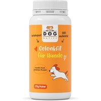 Dog-Native GelenkFit für Hunde, natürliches Gelenkpulver, Gelenk Fit Pulver mit Grünlippmuschel, MSM, Kollagen & Chondroitin für Gelenke & Knochen, 175g von Dog-Native