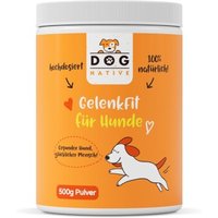 Dog-Native GelenkFit für Hunde, natürliches Gelenkpulver, Gelenk Fit Pulver mit Grünlippmuschel, MSM, Kollagen & Chondroitin für Gelenke & Knochen, 500g von Dog-Native