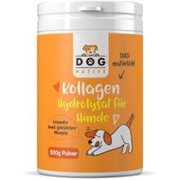 Dog-Native Kollagen-Hydrolysat für Hunde, Collagen mit hoher Bioverfügbarkeit (3kDA), 500g von Dog-Native