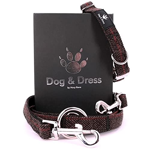 Dog & Dress by Nacy Kena Hundehalsband Und Leine Set, Silber, Verstellbar, Hundeleine, 2m, 3 Ringe, Karabiner, Große Kleine Hunde, Nylon, Geschenk Hund von Dog & Dress by Nacy Kena