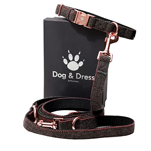 Dog & Dress Hundehalsband Und Leine Set, Roseogld, Verstellbar, Hundeleine, 2m, 3 Ringe, Karabiner, Große Kleine Hunde, Nylon, Geschenk Hund… von Dog & Dress by Nacy Kena